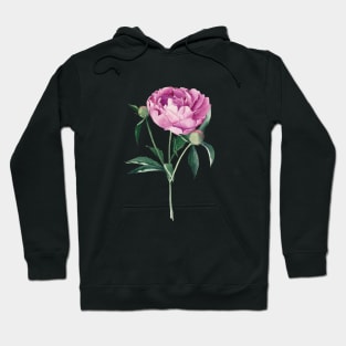 Watercolor peony flower Hoodie